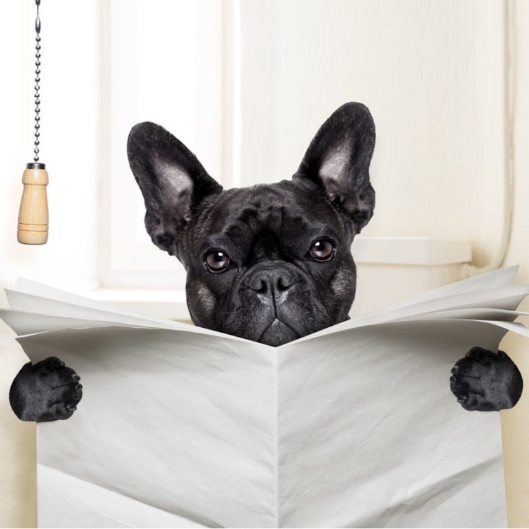 TWiP 363 – Time to Fling the Poo