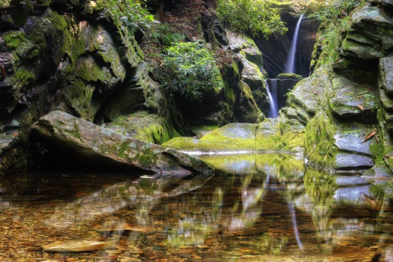 TWiP Meetup: Nature and Landscape Photography