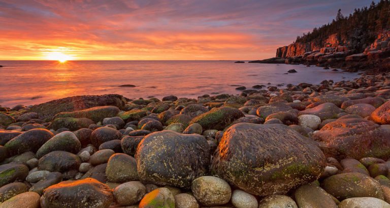 TWiP 380 – The Elements of Photography