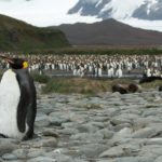 Photographing Antarctica