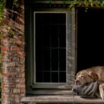 Photography in Bruges