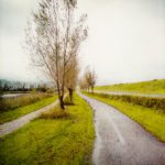 William Innes Travel