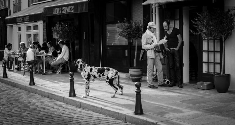 Street Focus 29: Q&A and Street Challenge