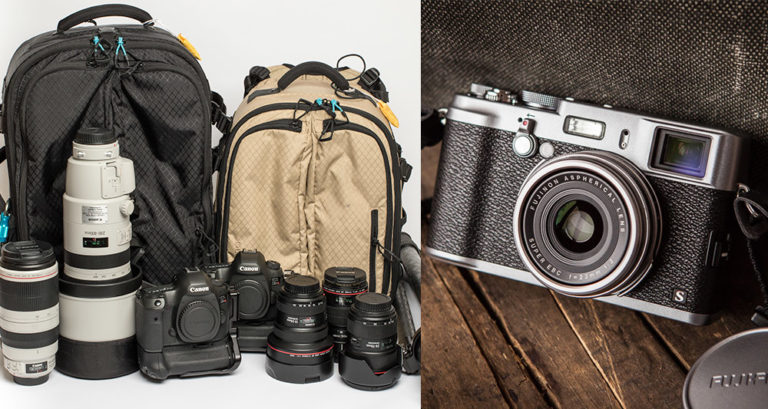 Street Focus 66: Wild Life vs. Street Life