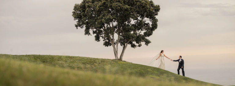 TWiP Weddings 032: The Wedding School with Susan Stripling