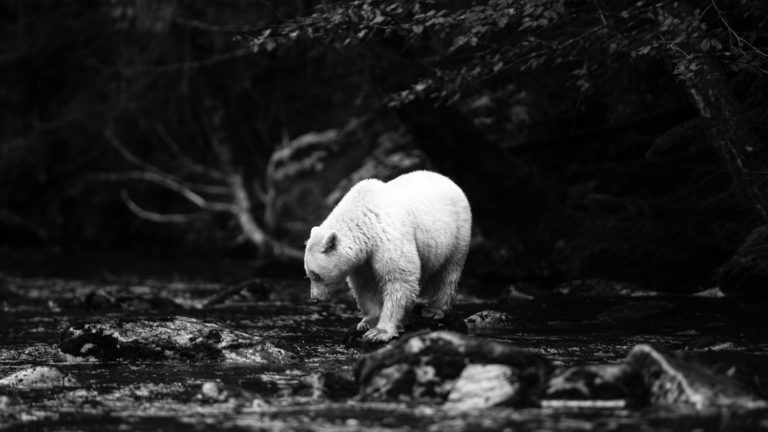 TWiP Talks 48: Expanding Horizons with David duChemin