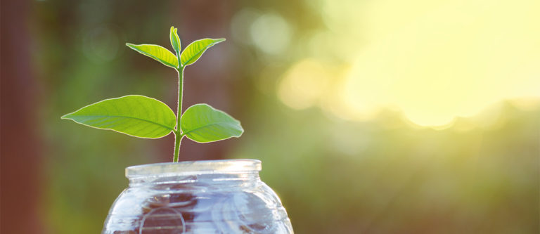 TWiP Talks 61: Bundle of Joy