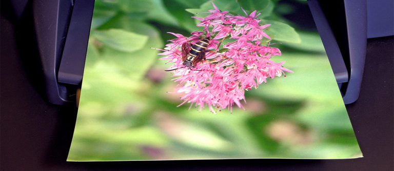 Pocketshooters on Printing