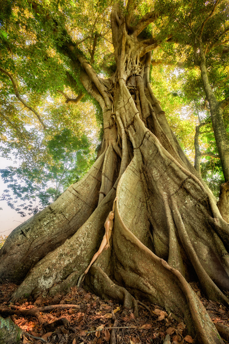 TWiP 500: Evolution – This Week in Photo (TWiP)