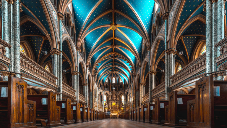 TWiP LIVE! Rebuilding Notre Dame! featuring Photojoseph, Martin Bailey with Serge Ramelli