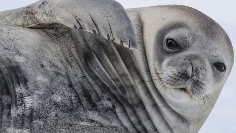 Catching Up with Rick Sammon!