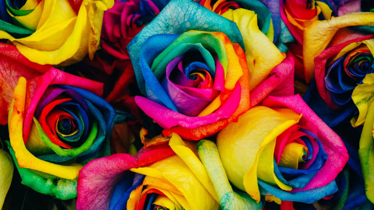 Get Serious About Color with DATACOLOR!