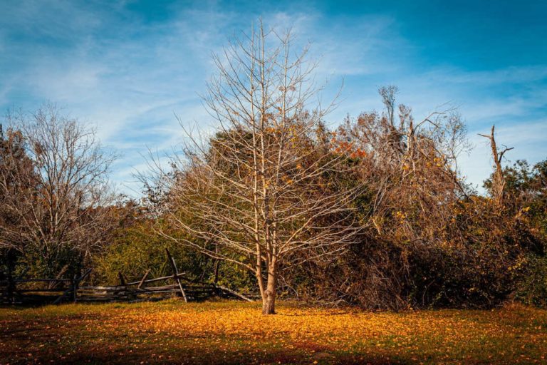 TWiP Photo Critique 93 – "TIME"