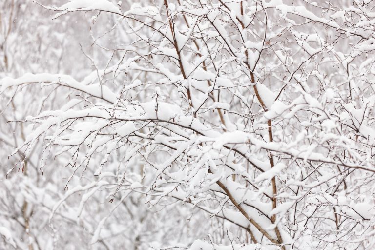 TWiP Photo Critique 96 – "RESOLUTION"