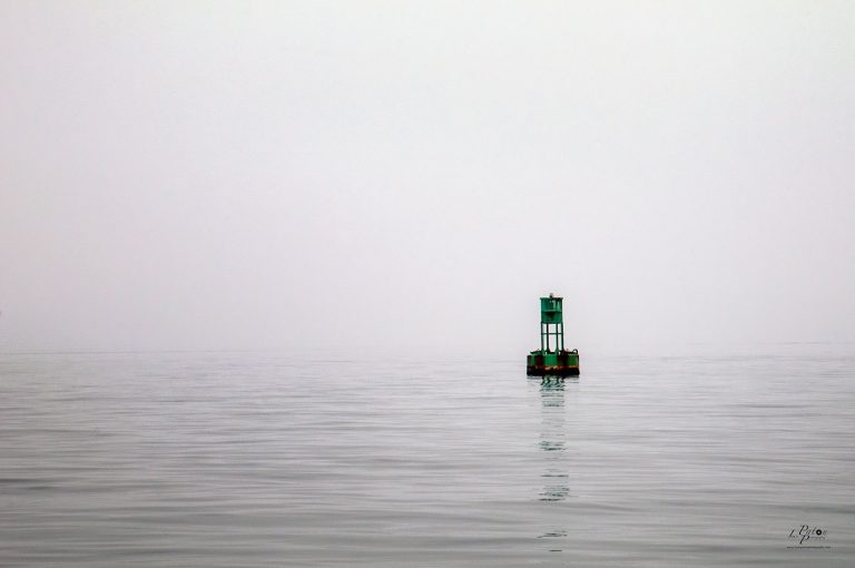 Photo Critique 102 – Negative Space!