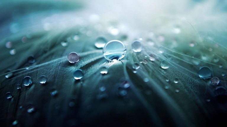 Photo Critique 127 – THE MUNDANE