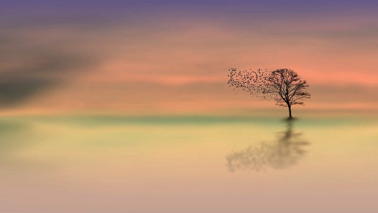 Photo Critique 138 – WIDE ANGLE!