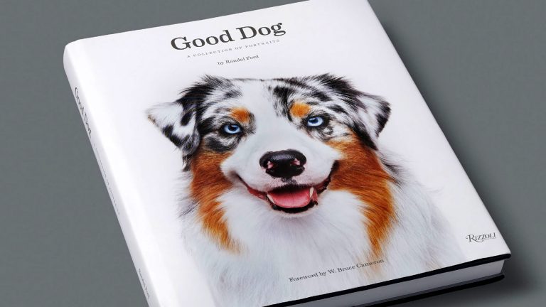 Photographing The Good Dog!