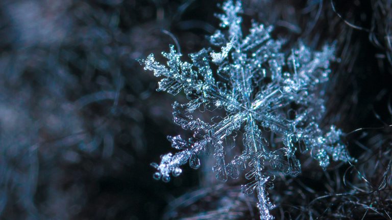 Photo Critique 148 – THAT’S COLD!