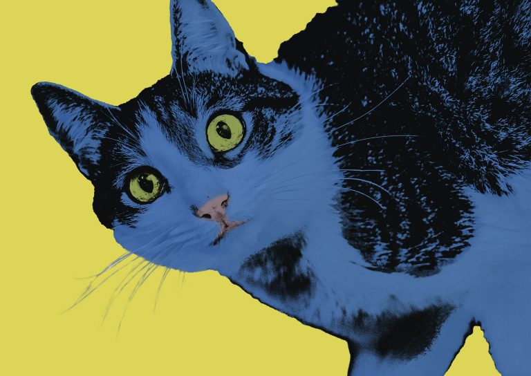 Photo Critique 150 – POP ART!