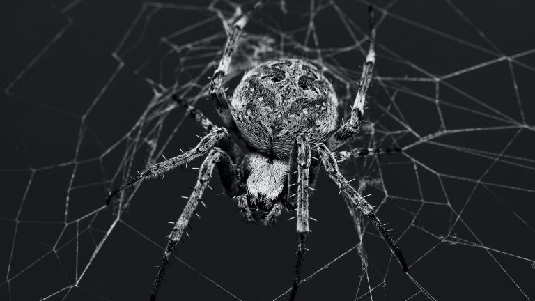 Photo Critique 163 – INTERSECTING LINES