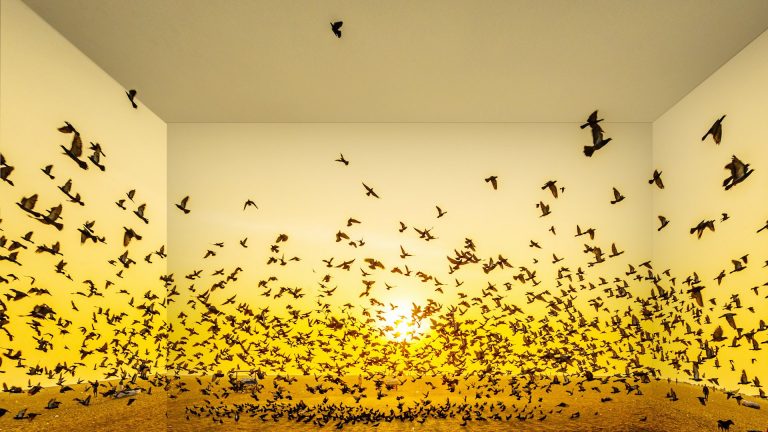 Photo Critique 168 – OPEN/General