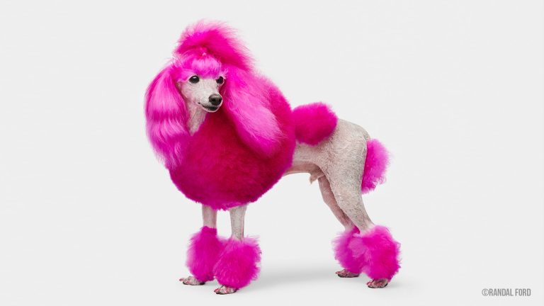 Secrets of Professional Pet Photography, with Randal Ford