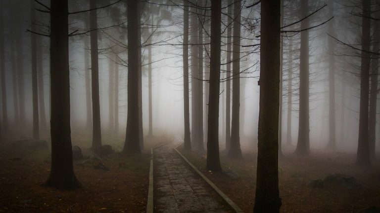 Community Photo Critique 172 – SPOOKY!