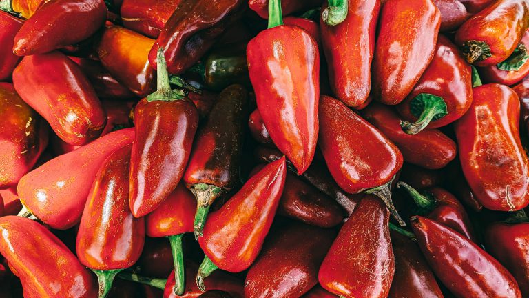 Photo Critique 174 – DOMINANT COLOR