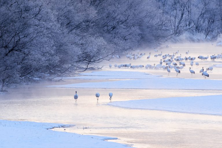 Photo Critique 177 – WINTER