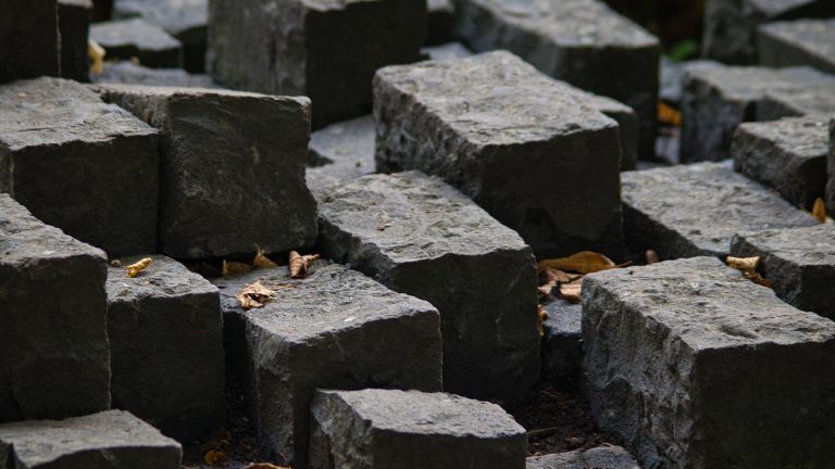 Photo Critique 181 – PATTERNS