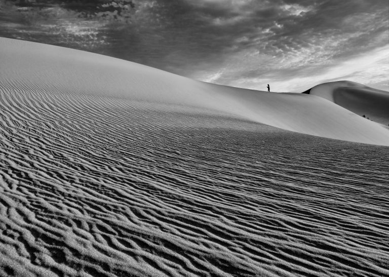 Photo Critique 186 – The Path Not Taken