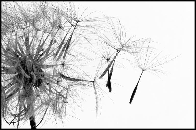 Photo Critique 190 – COMPLEXITY