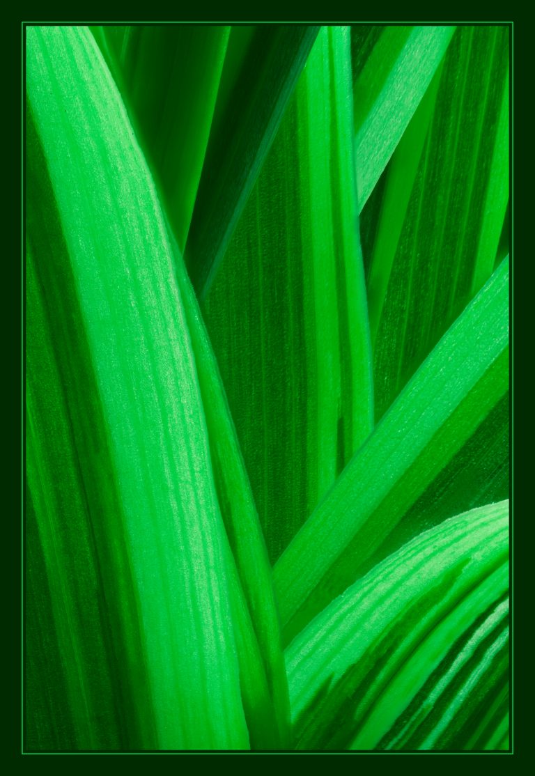 Photo Critique 194 – MONOCHROME!