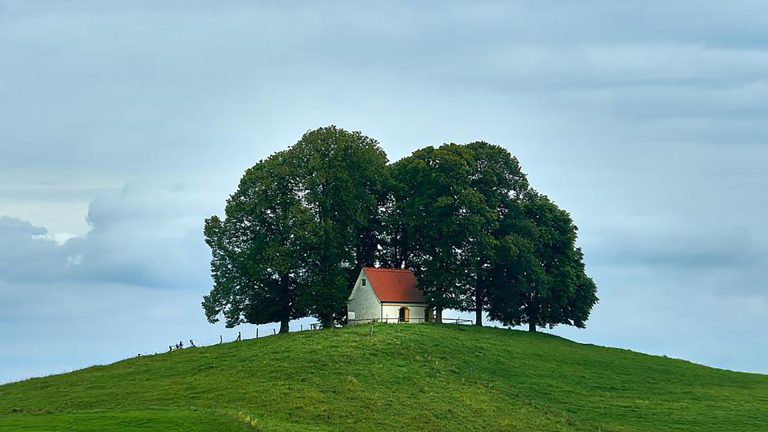 Photo Critique 214: NEGATIVE SPACE