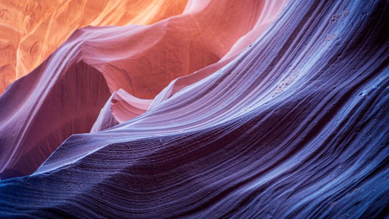 Photo Critique 217: NATURE