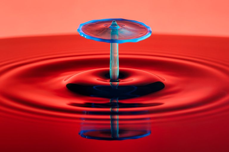 The Morphing Business of Photography, with Nicole S. Young