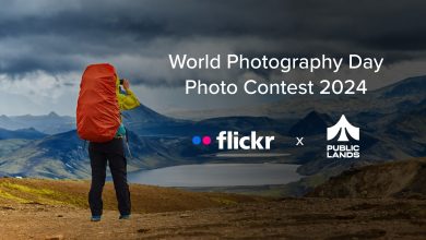 World Photography Day and Flickr