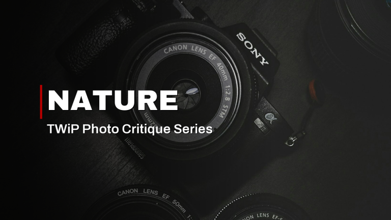 Into the Wild: Nature Photography Critique