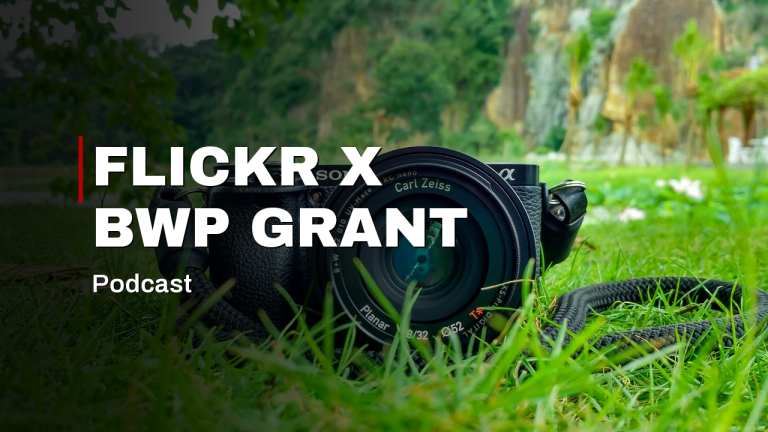 Celebrating the 2025 Flickr x Black Women Photographers Grant!